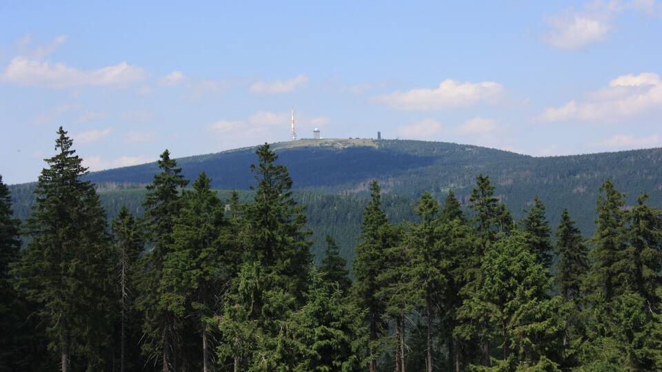 A mountain with a wind turbine and dense forest.