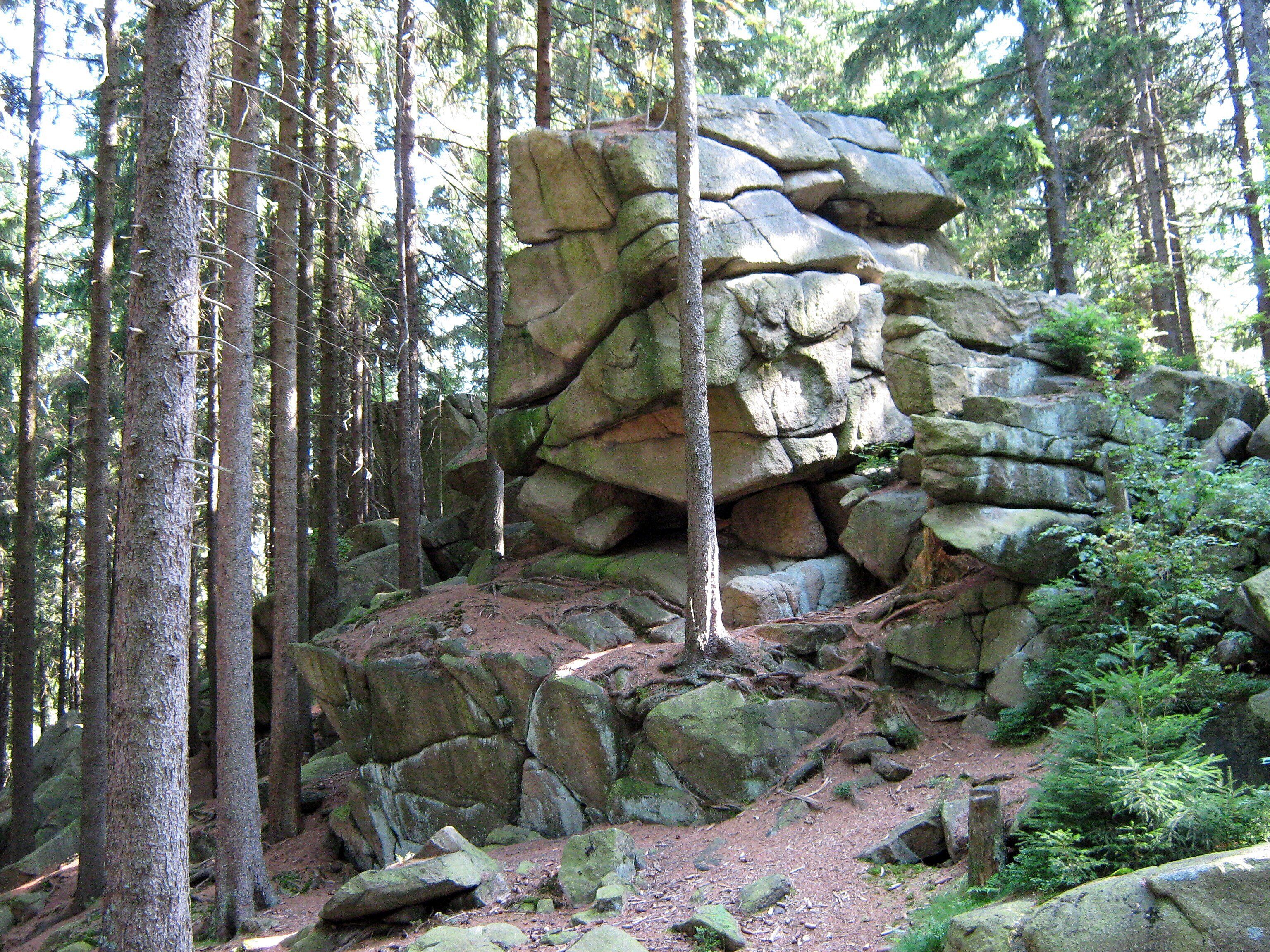 A forest with large rocks and tall trees.
