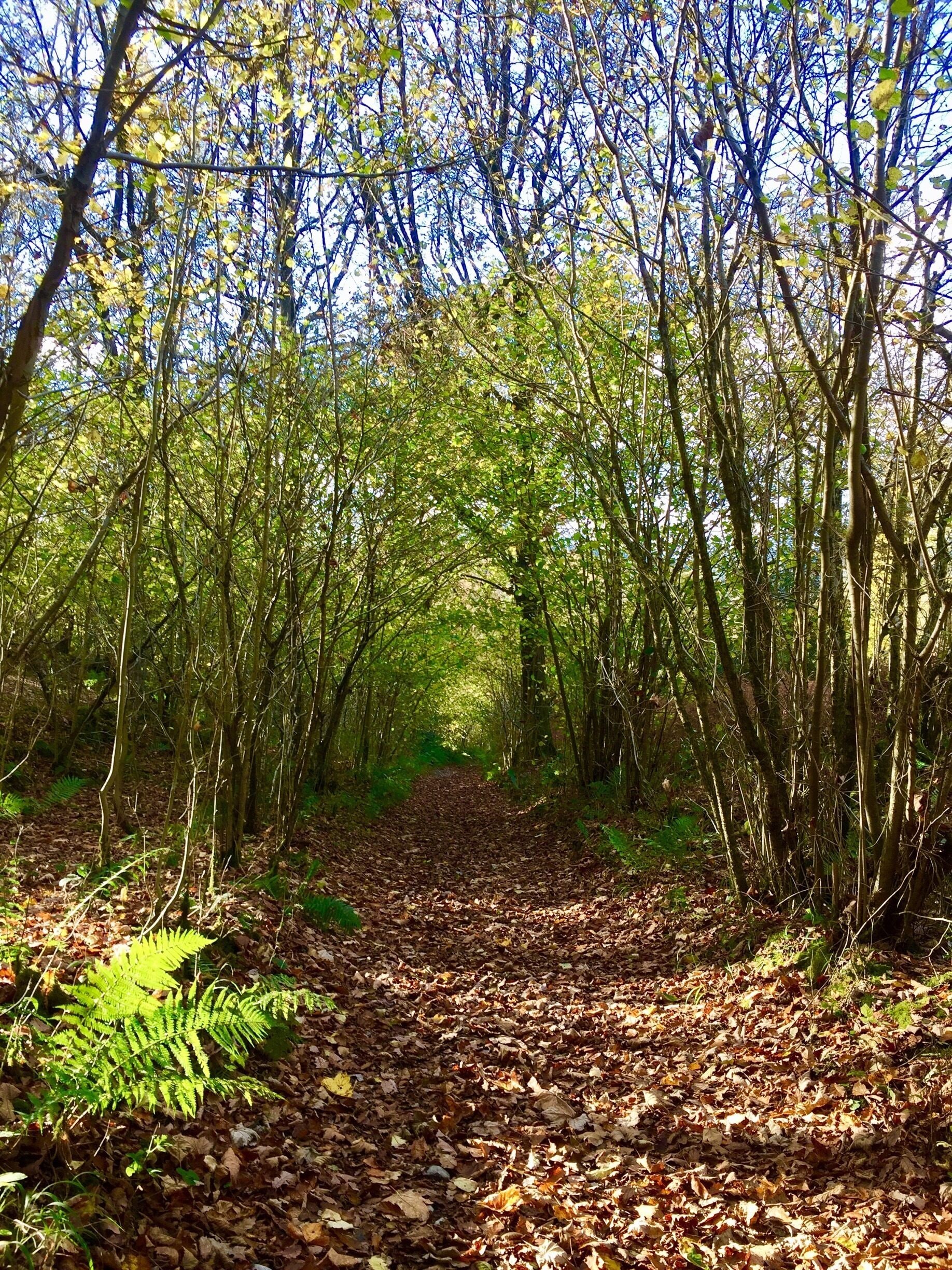 Gentle beauty in the Winster Valley