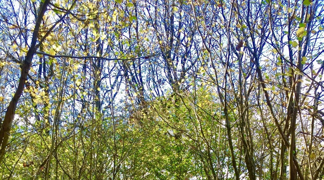 Gentle beauty in the Winster Valley