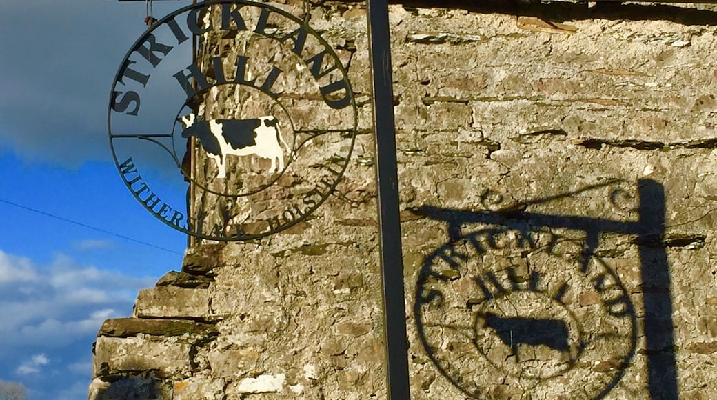 Just liked the shadow as we passed this farm