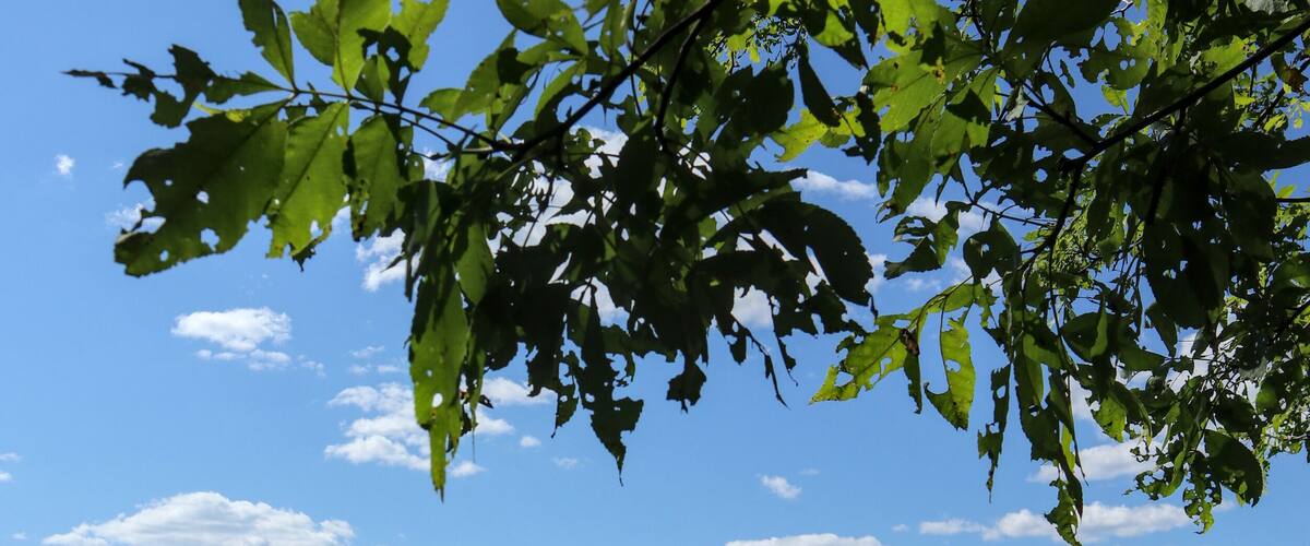 view of Bashakill Wildlife Management Area in upstate new york on new jersey border near otisville wurtsboro port jervis (beautiful nature preserve water lake pond with mountains grass) summer hike