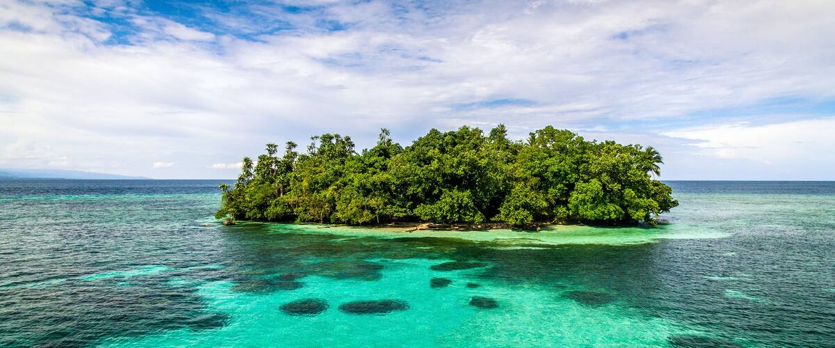 A turquoise sea with clear waters and a small island covered with dense green foliage.