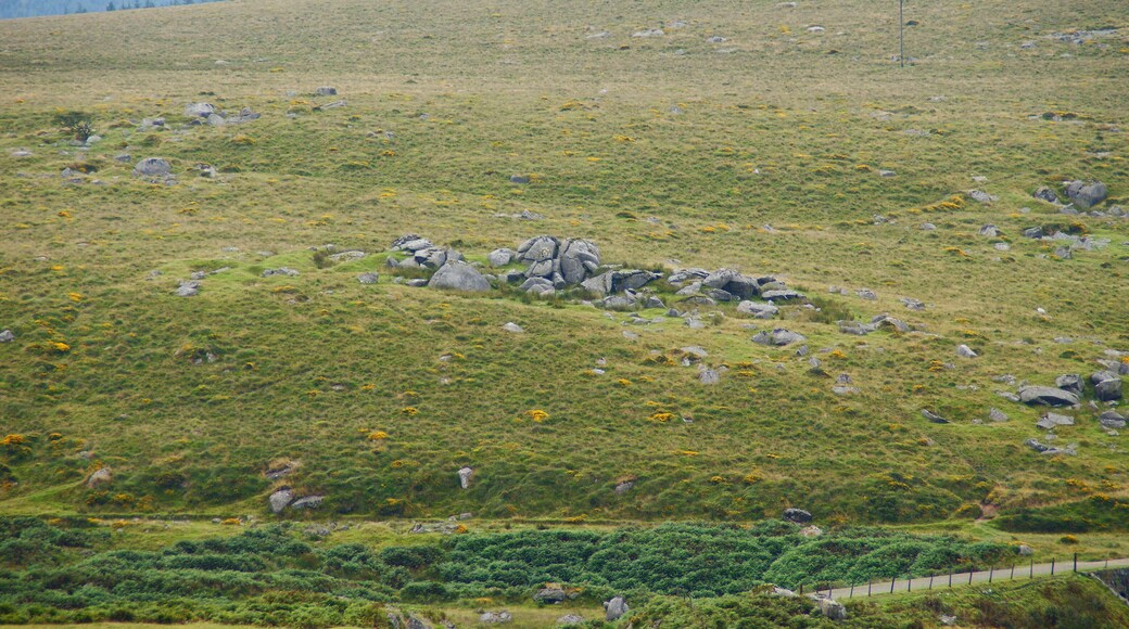 Fur Tor (Merrivale) on western Dartmoor.