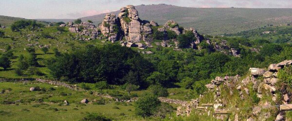 A rocky outcrop with a prominent rock formation in a grassy field.