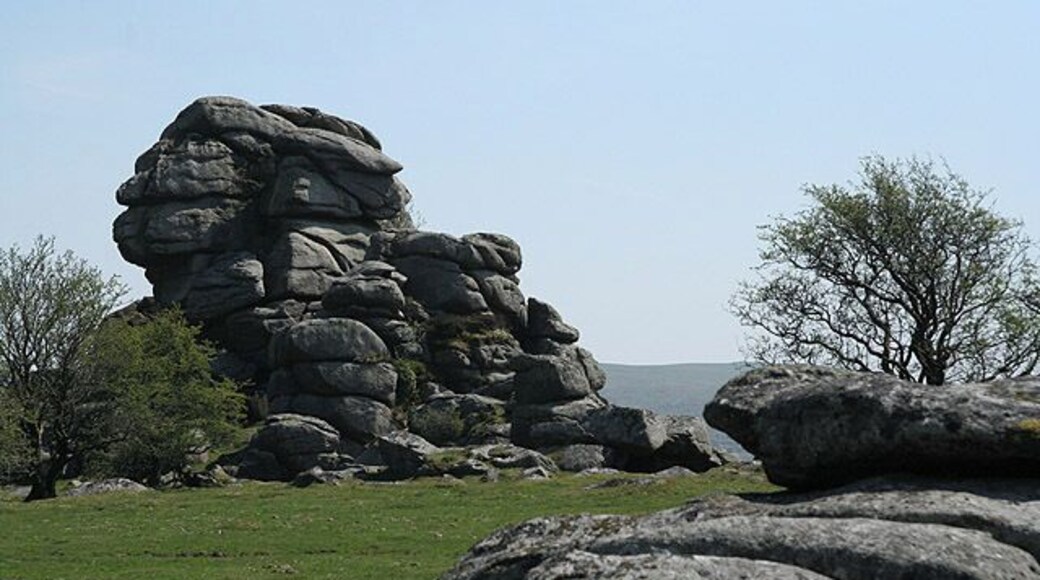 Dartmoor: Vixen Tor 1 Seen from the north west. Access to the Tor is now prohibited