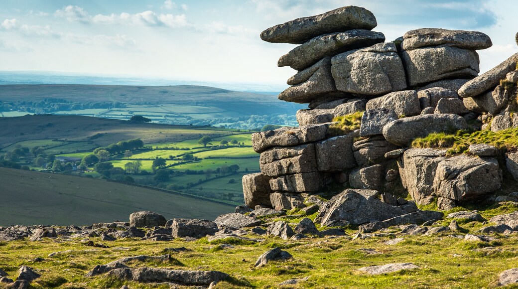Great Staple Tor