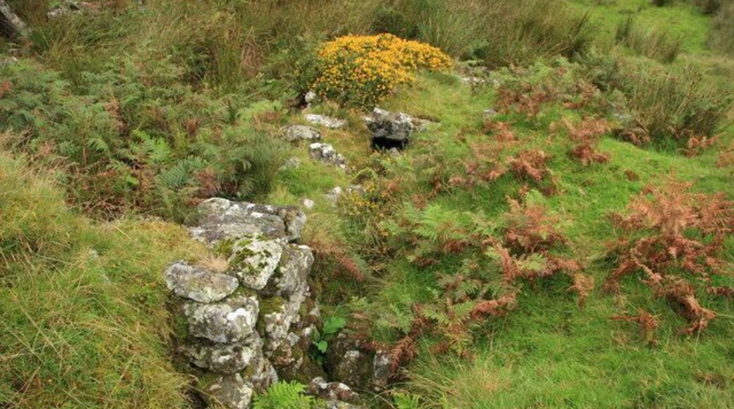 Middle Blowing House, River Walkham Showing the overgrown race and wheelpit of this relic of the tin working that occurred in this valley.