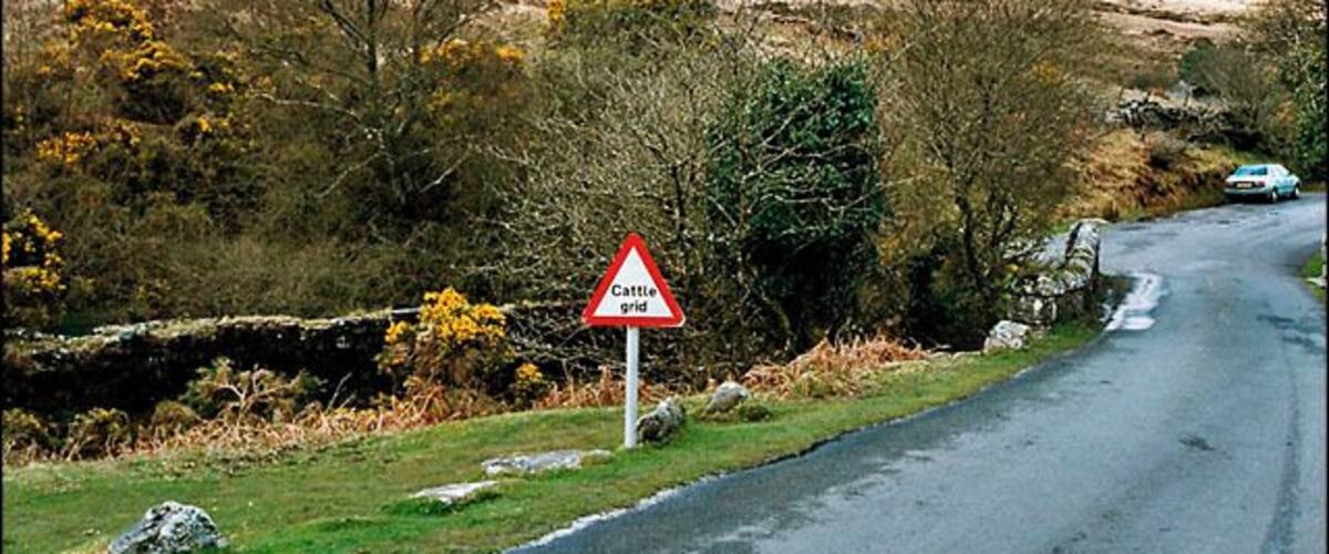 A rural road with a 'Cattle grid' sign, surrounded by greenery and a stone wall.