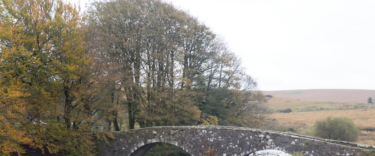 A stone bridge over a river, surrounded by trees and grassy fields.