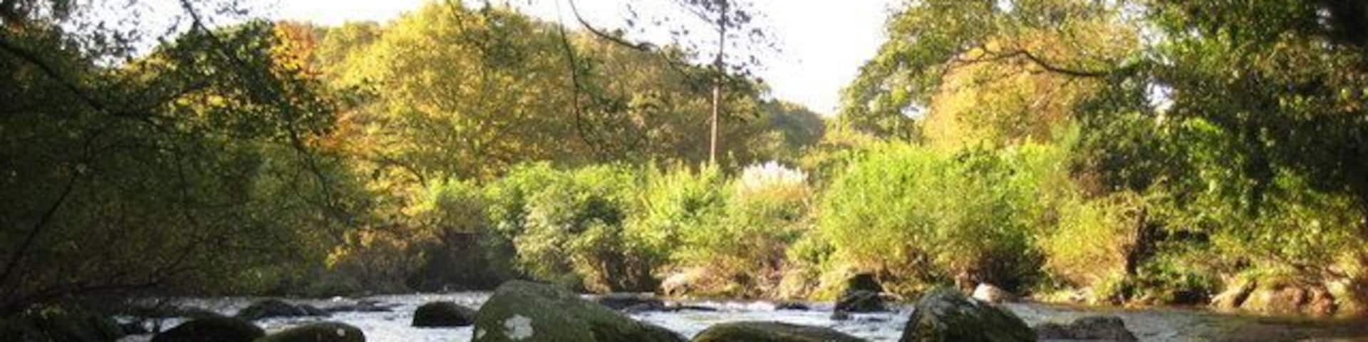 A river with large rocks and dense greenery in the background.