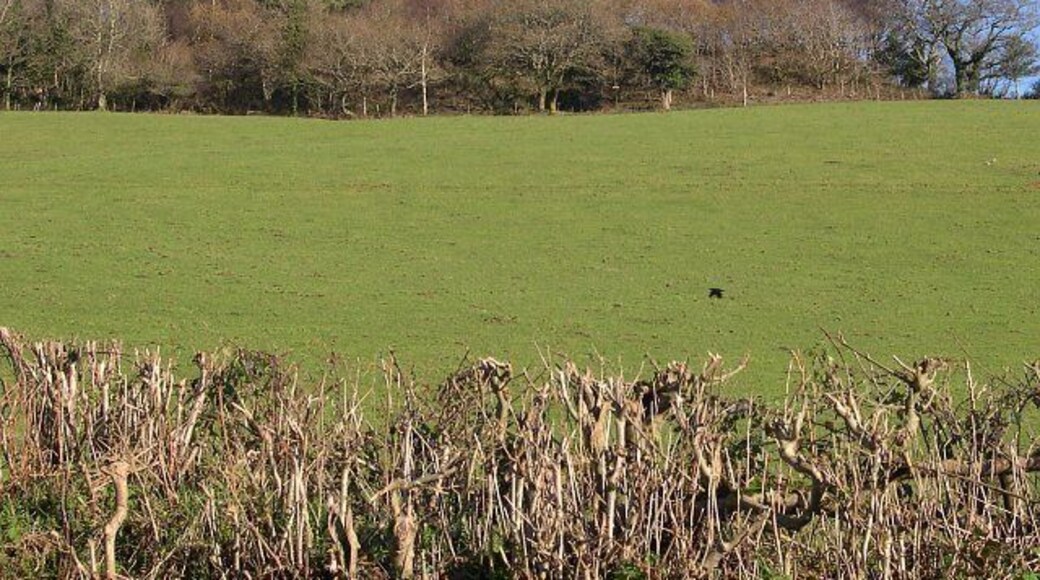 Woodland and Pasture. The woods at the top of this hill conceal disused mine workings.