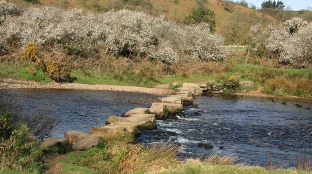Week Ford Stepping stones across the West Dart, on the bridleway from Combestone Tor to Huccaby Farm.