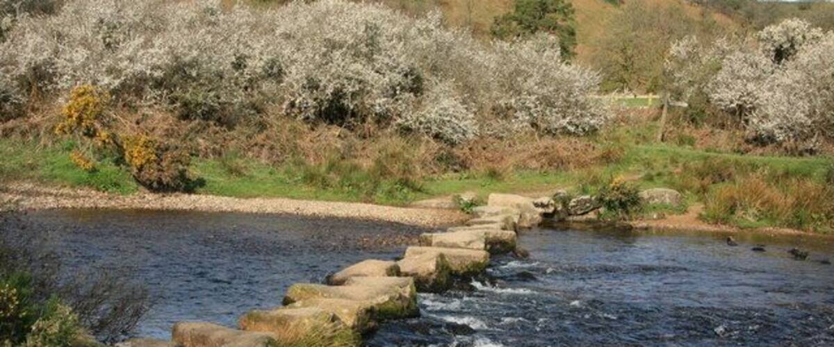 Week Ford Stepping stones across the West Dart, on the bridleway from Combestone Tor to Huccaby Farm.