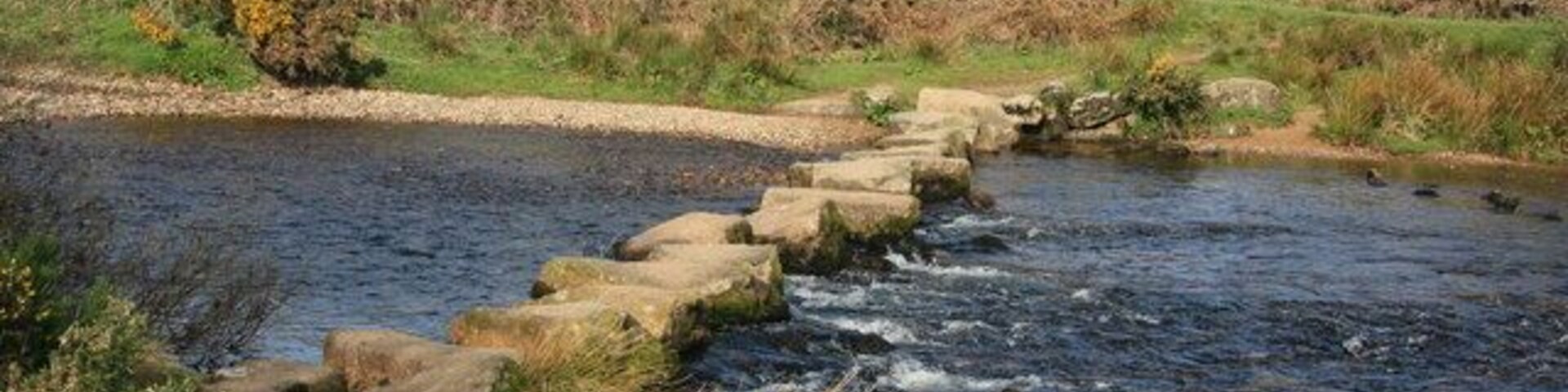 Week Ford Stepping stones across the West Dart, on the bridleway from Combestone Tor to Huccaby Farm.