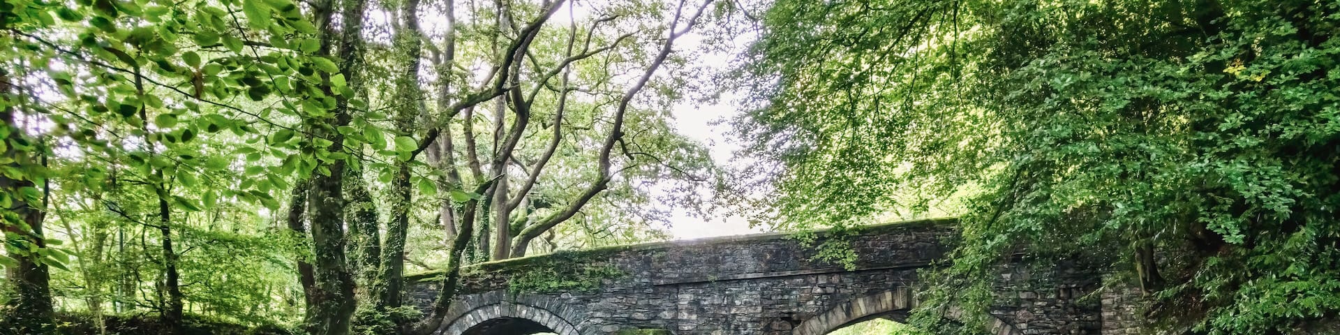 A summer day at Denham Bridge in Yelverton, UK