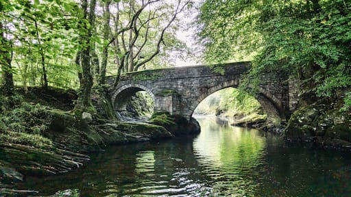 A summer day at Denham Bridge in Yelverton, UK