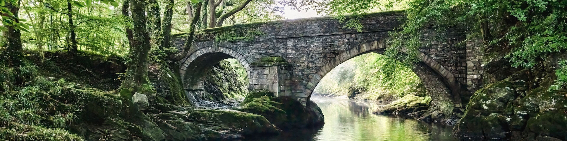 A stone bridge over a calm river, surrounded by lush greenery and moss-covered rocks.