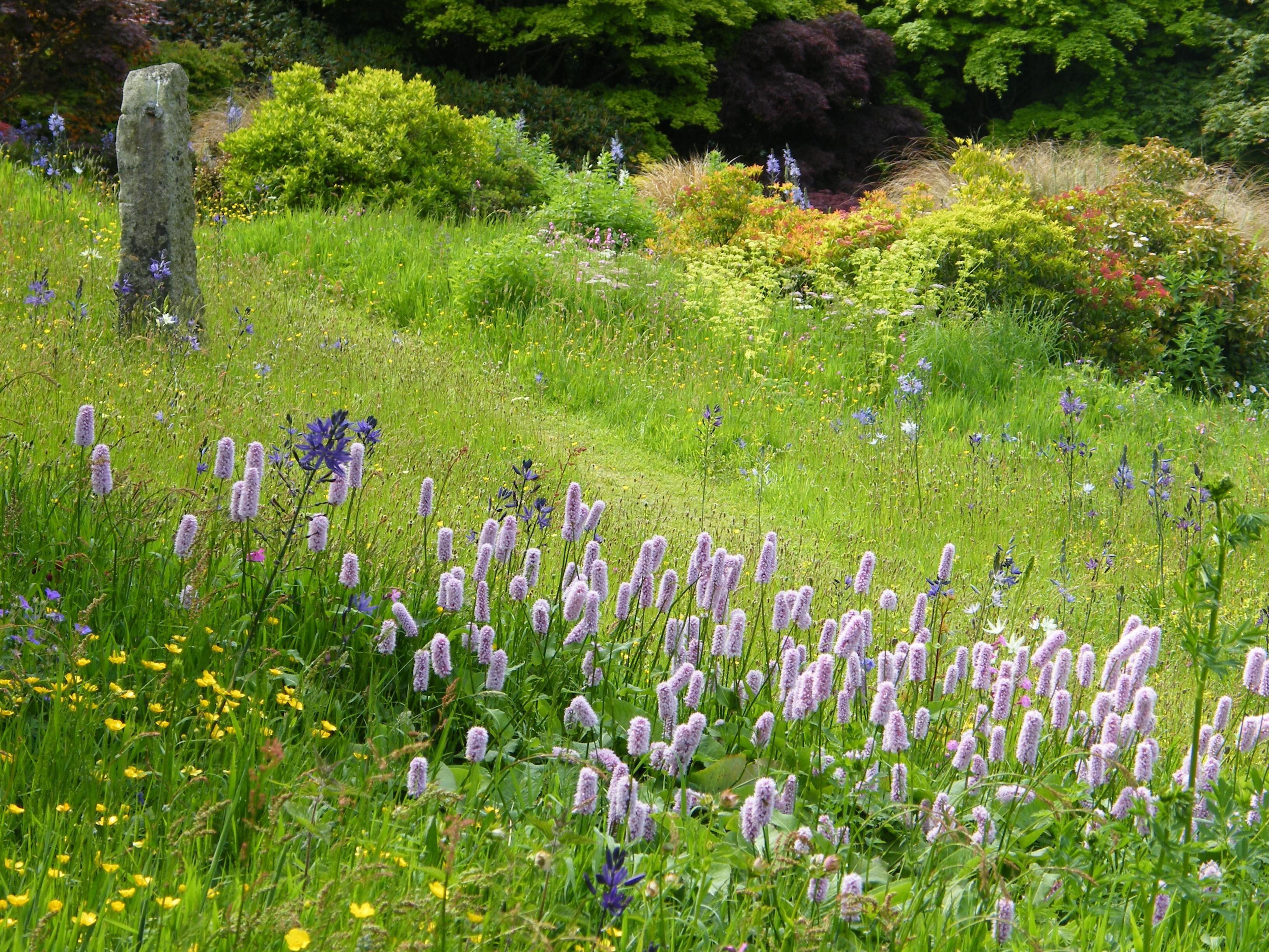 A meadow with purple flowers, green grass, and a stone post.