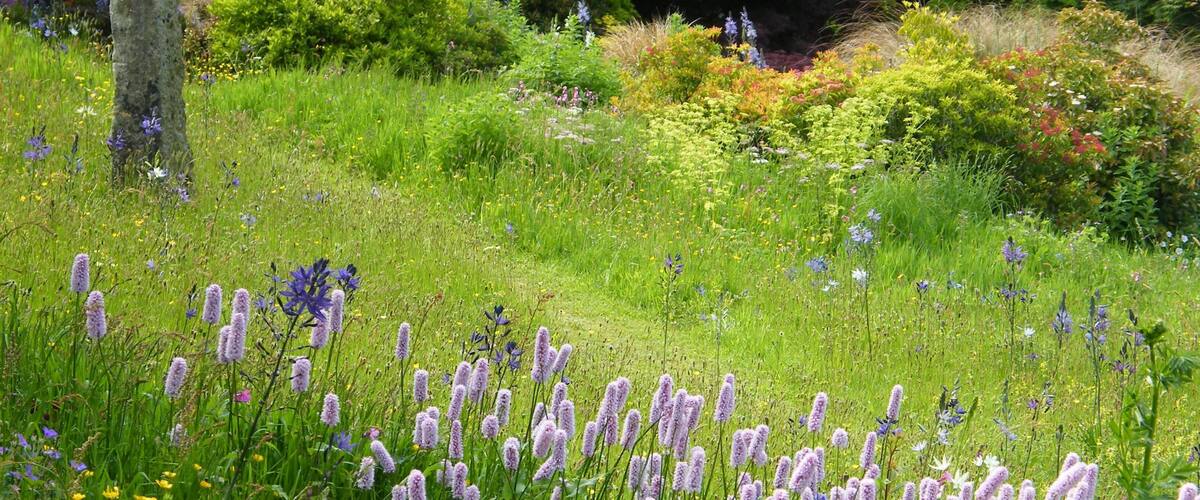 A meadow with purple flowers, green grass, and a stone post.