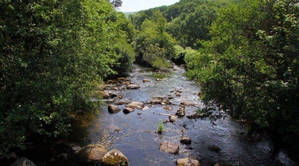 East Dart River at Dartmeet The East Dart meets the West Dart just beyond the trees in the river at Dartmeet