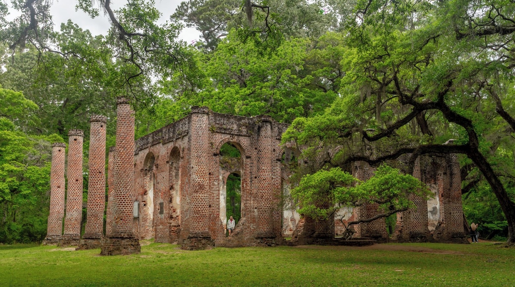 We saw a sign for some church ruins. How could I not go? These ruins are owned by a private owner and can be walked around free of charge.
Known also as the Sheldon Church or Old Sheldon Church, the building was originally known as Prince William's Parish Church. The church was built as a chapel of ease in the English Georgian style, using the Roman Tuscan or Doric order, between 1745 and 1753.
The traditional understanding is that Prince William's was burned by the British in 1779 during the Revolutionary War, rebuilt in 1826, and then burned again in 1865 during the Civil War: