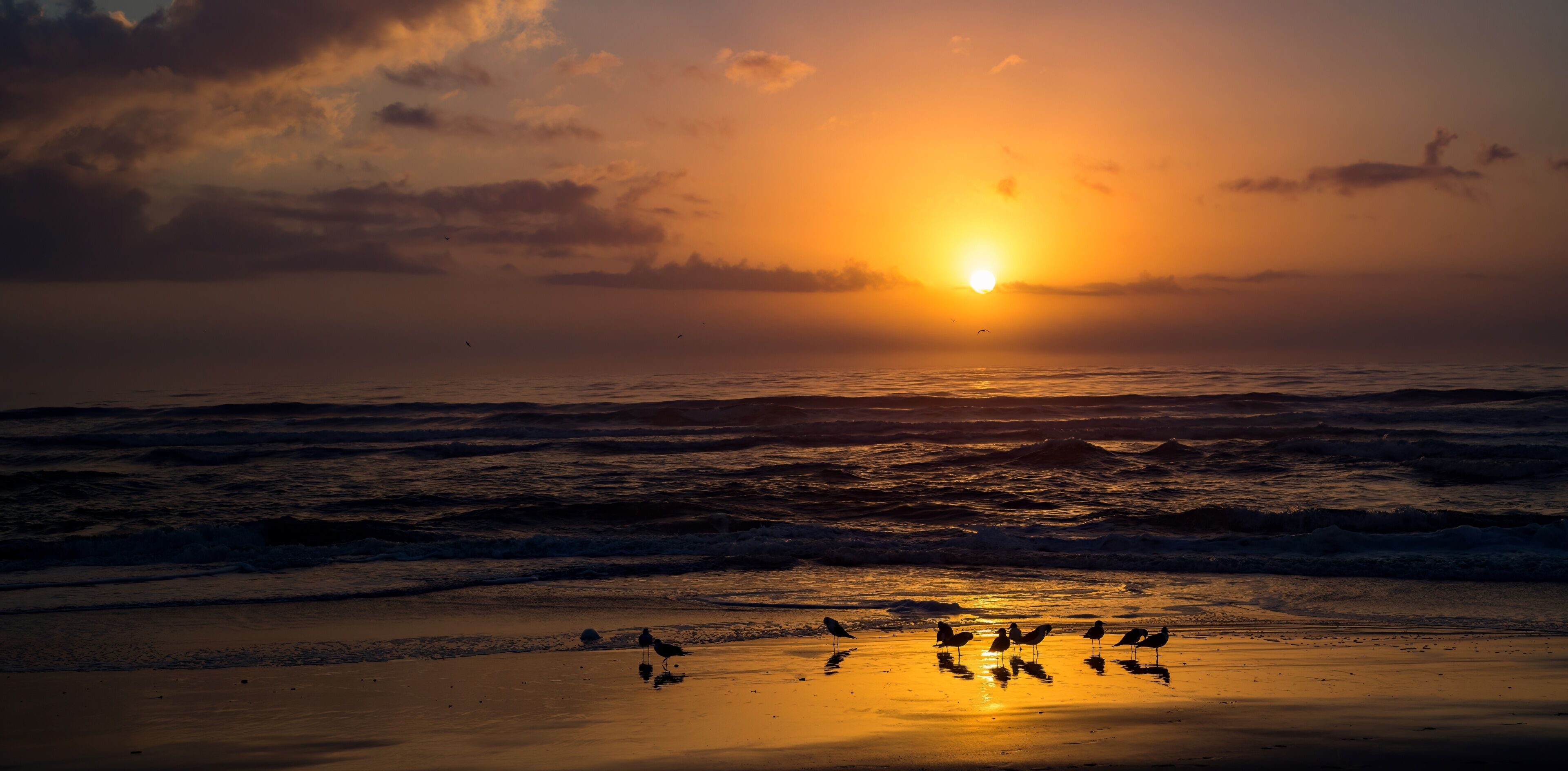 A sunset over the ocean with waves and birds on the beach.