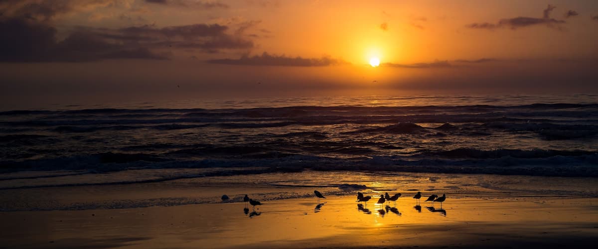 A sunset over the ocean with waves and birds on the beach.