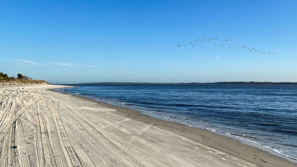 A sandy beach with tire tracks, a calm sea, and a flock of birds flying overhead.