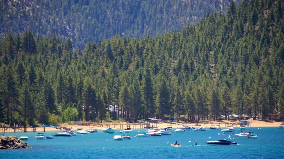 A coastal area with numerous boats on the water, a sandy beach, and a dense forest in the background.