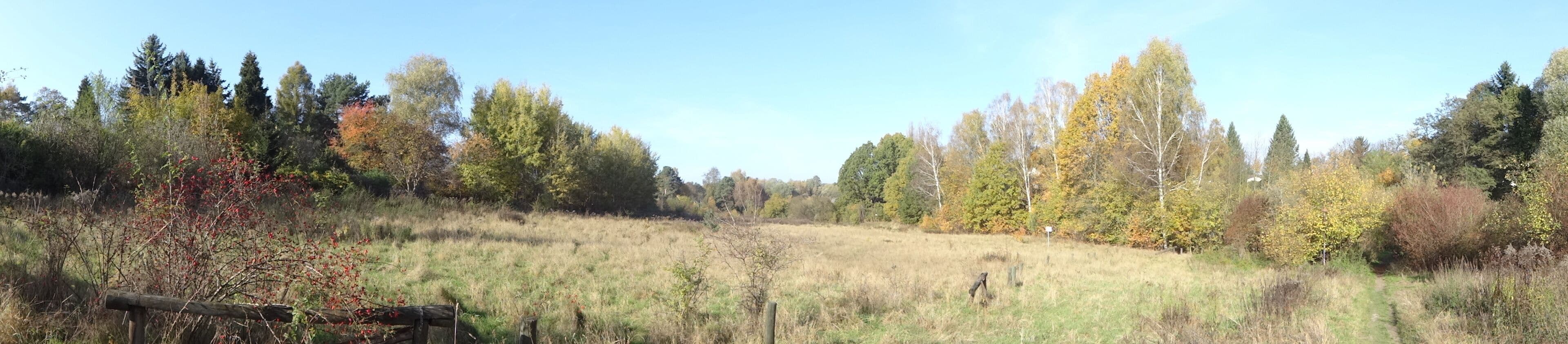 NSG Höllengrund-Pulverberg im Landkreis Dahme-Spreewald in Brandenburg. Das 48 Hektar große Naturschutzgebiet liegt zwischen Zeuthen und Wildau und entstand in der letzten Weichseleiszeit.