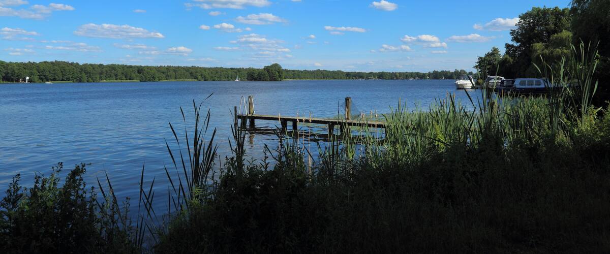 A calm lake with a wooden dock extending into the water, surrounded by lush greenery and a clear blue sky.