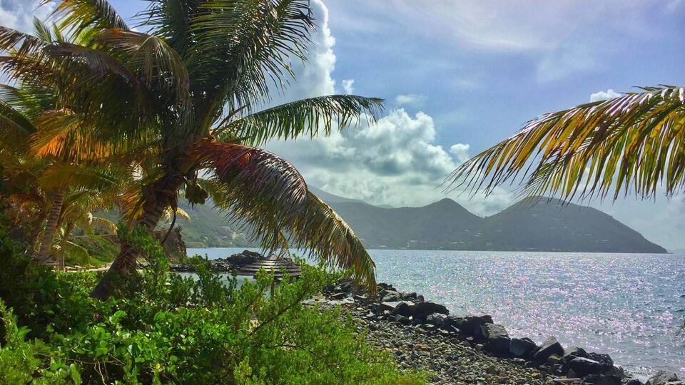 A tropical beach with palm trees, a rocky shoreline, and a mountain in the background.