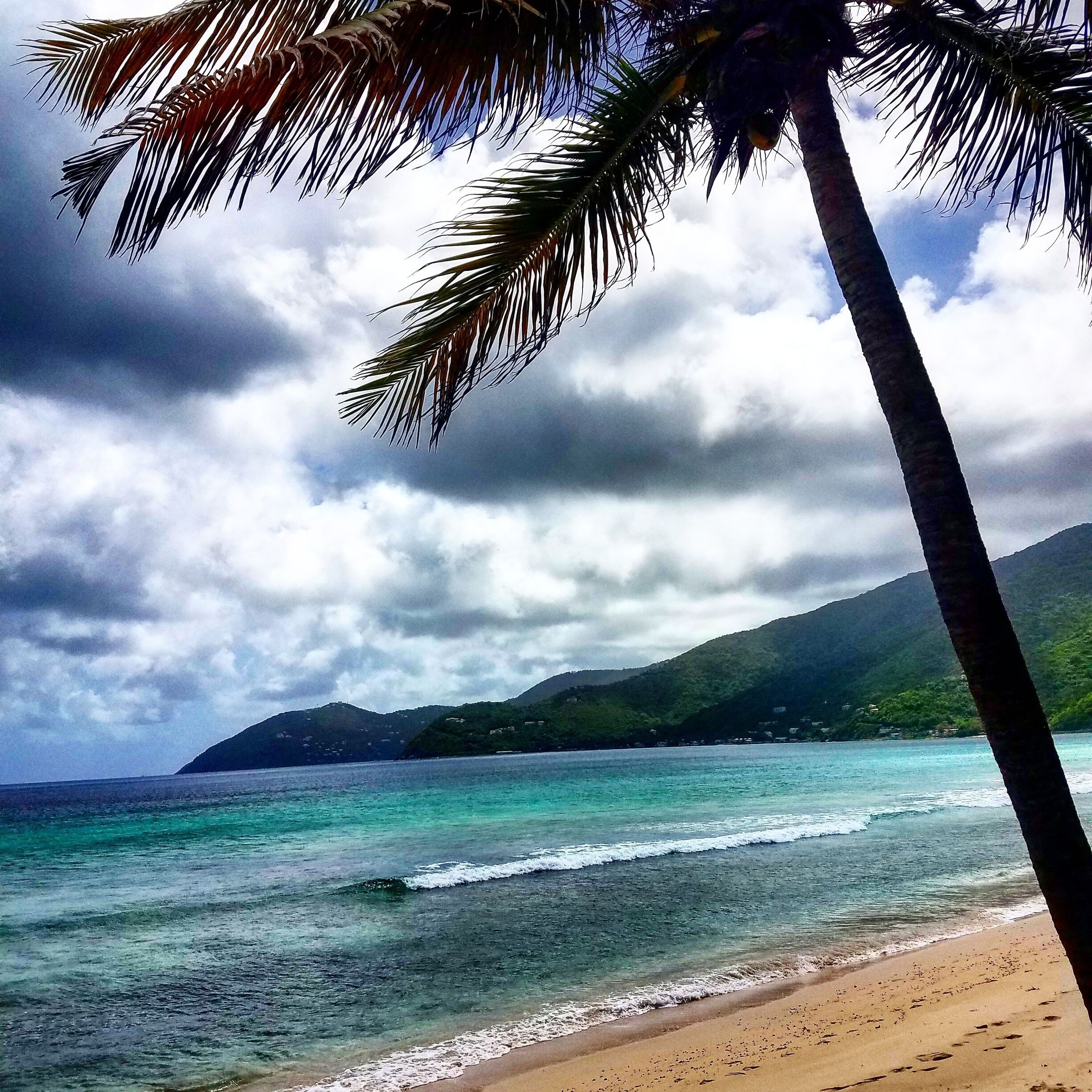 Amazing beach. Tortola is incredible. If you get a chance come here