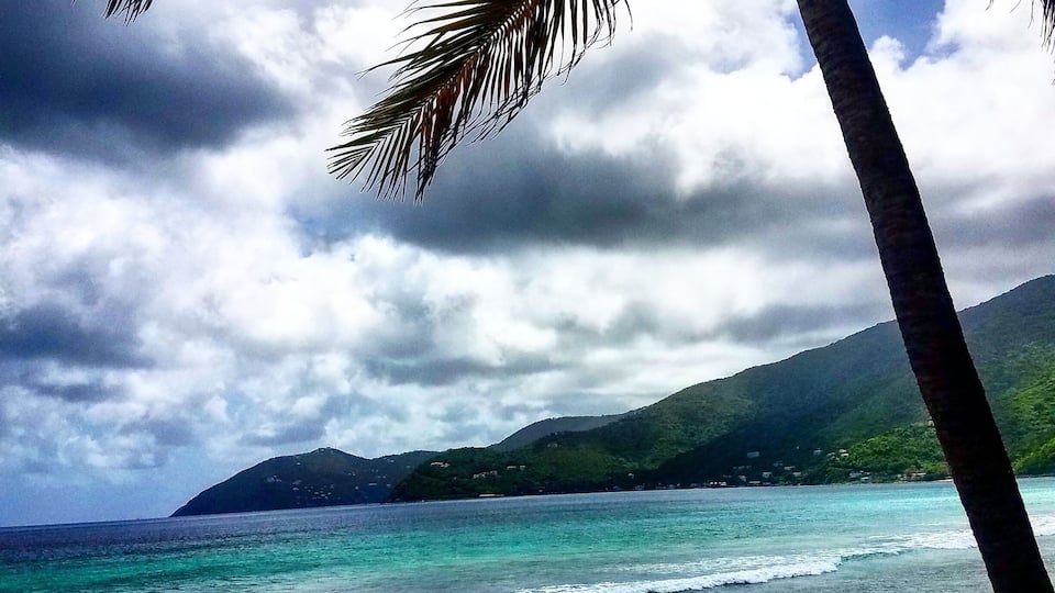 A beach with turquoise water, a palm tree, and a mountain in the background.