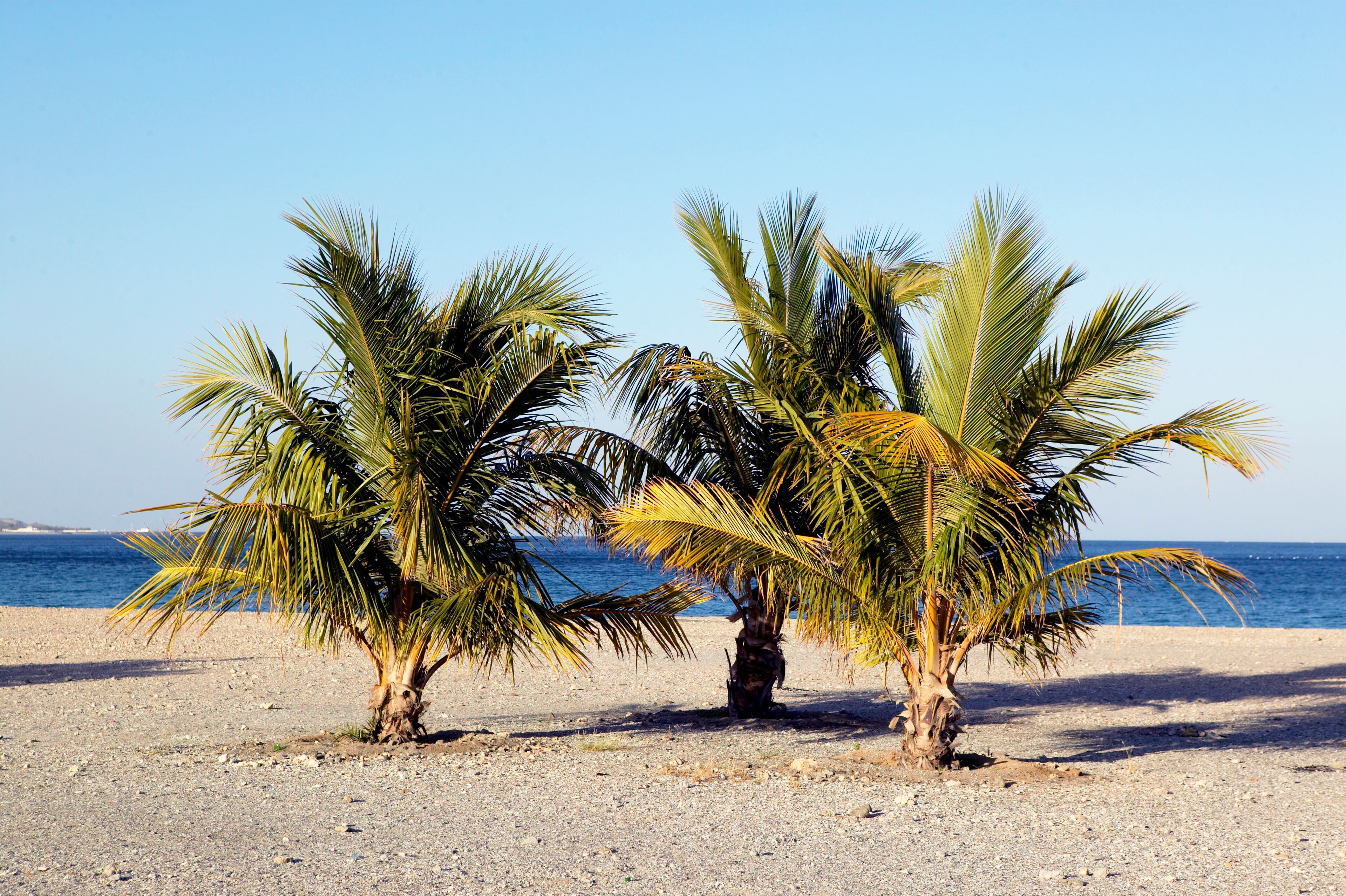Al-Fujairah