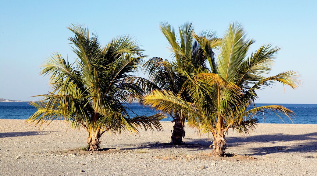 Al-Fujairah
