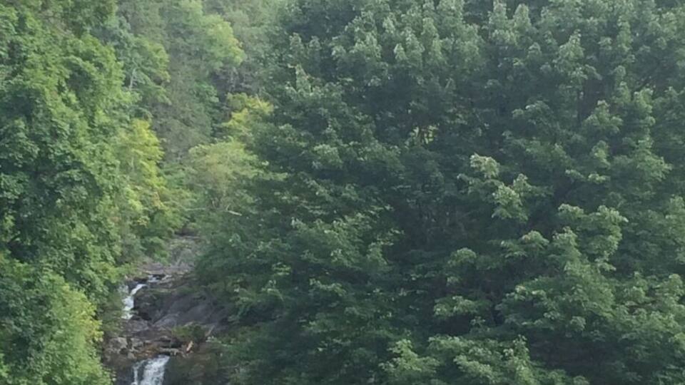 A park with a waterfall, a large tree, and a picnic table.