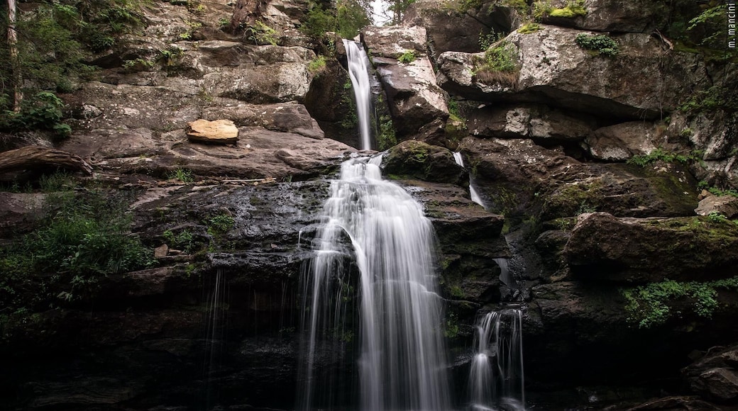 MarissaMancini.com ...beautiful spot in the fall.