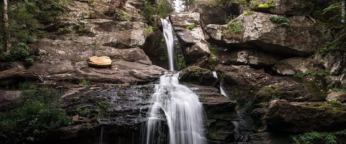 MarissaMancini.com ...beautiful spot in the fall.