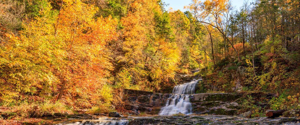 A waterfall cascading over rocks in a forest with autumn-colored trees.