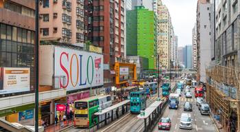 North Point showing a city and cbd