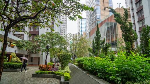 Quarry Bay which includes a coastal town