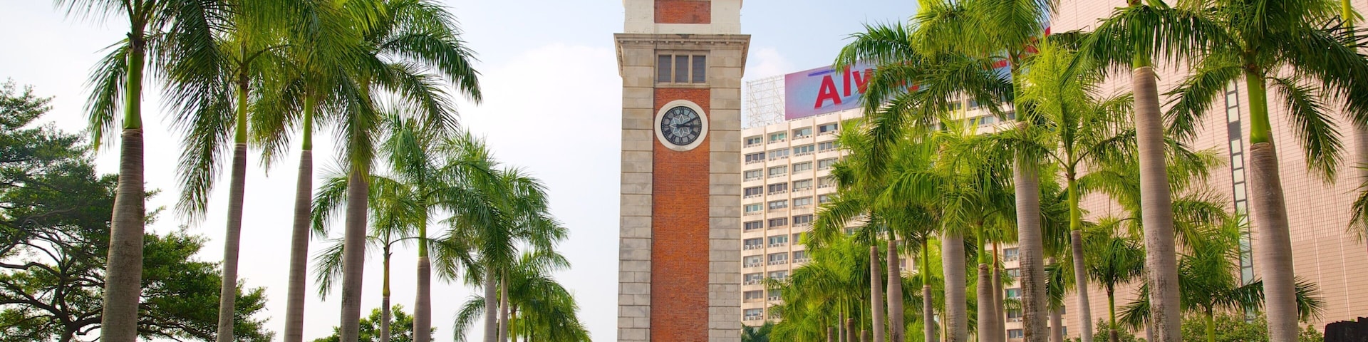 尖沙咀 呈现出 城市 和 噴泉