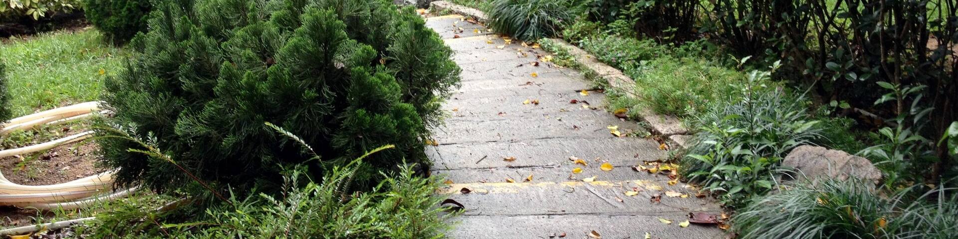 屯門市鎮公園(小徑二)