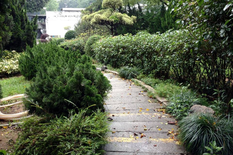 A stone pathway flanked by dense greenery and a white building in the background.