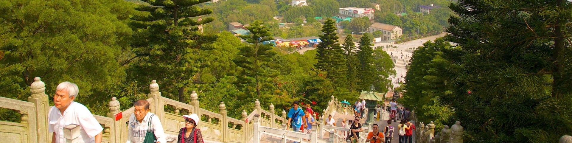 Big Buddha featuring hiking or walking, forests and mountains