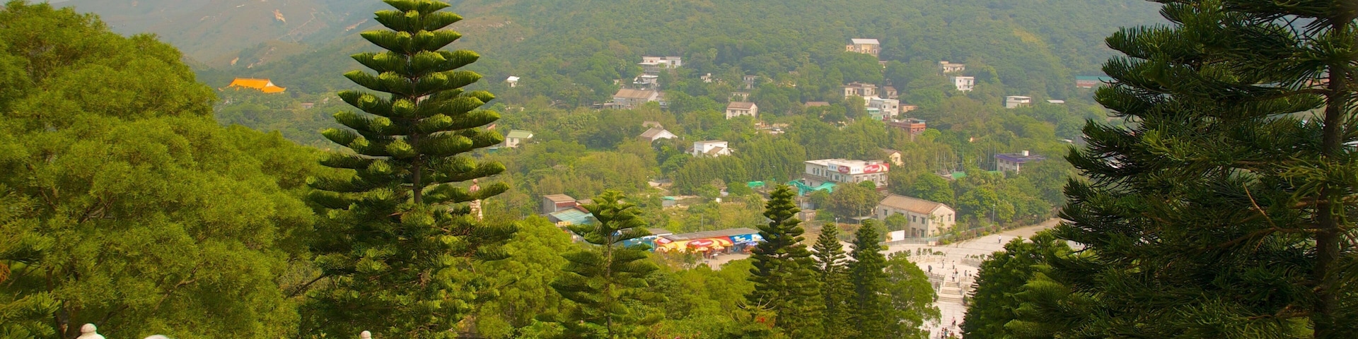 大佛 呈现出 森林, 遠足或健行 和 山岳