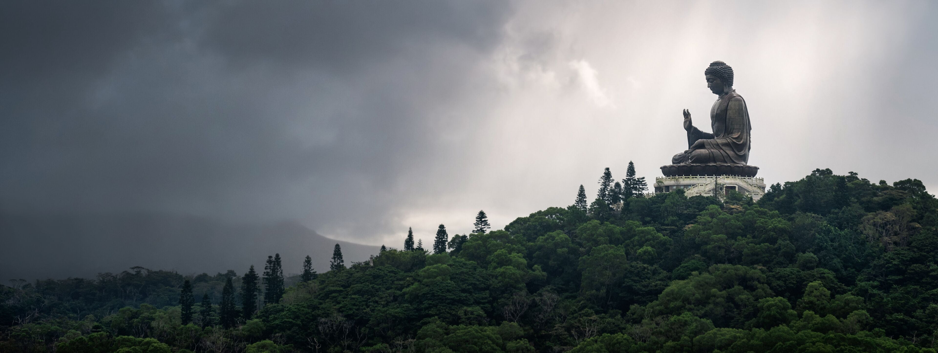 A large Buddha statue on a hill with dense forest and a cloudy sky.