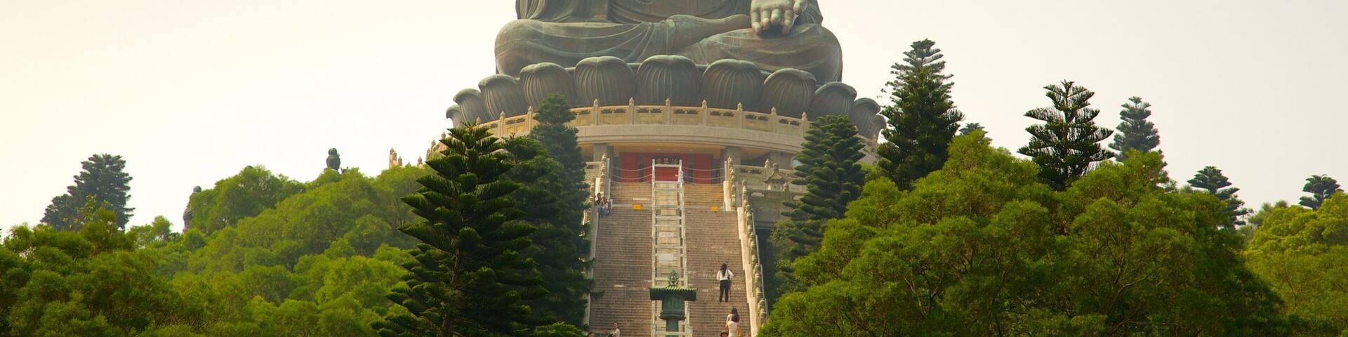 A large Buddha statue with a circular base and a staircase leading up to it, surrounded by trees.